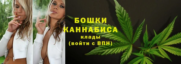 стаф Белоозёрский