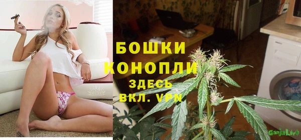 стафф Покачи