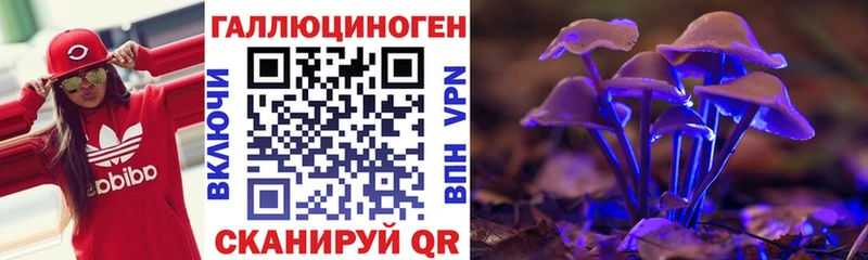 Галлюциногенные грибы Psilocybine cubensis Надым